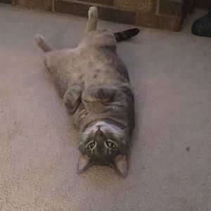 Meet your Posher, Cindy